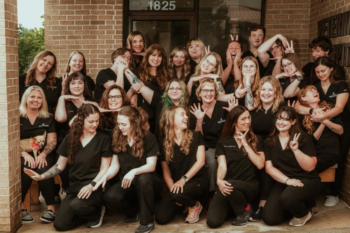 Silly Team Photo